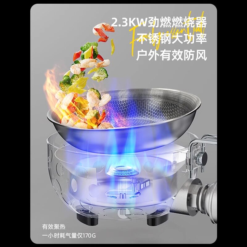 Fornello a Gas Portatile da Es - Home Cooking Fried Rice recensione e prezzo
